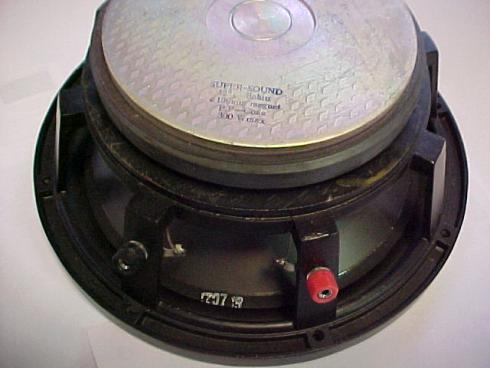 W300RAO42 SUPER SOUND BASSO 12" 8 Ohm 300 W